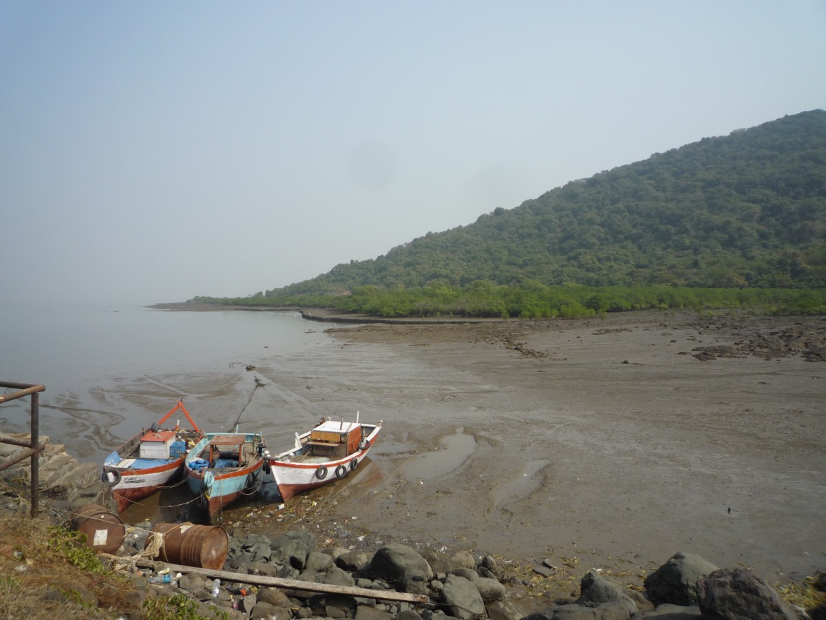 Elephanta caves68